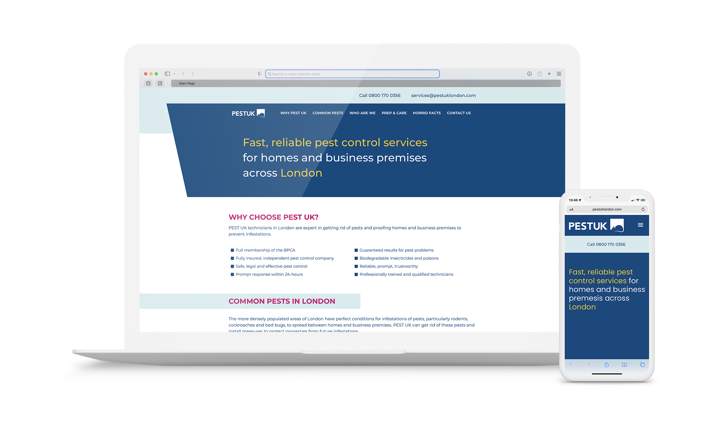 Pest Control Website Design