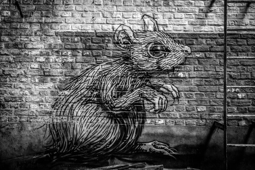 Pest Control Website Design